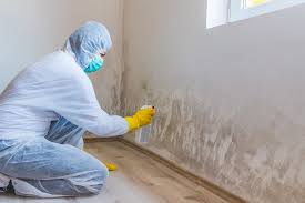 Best Post-Construction Mold Inspection  in Hamtramck, MI