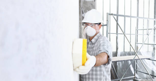 Best Mold Removal for HVAC Installations  in Hamtramck, MI