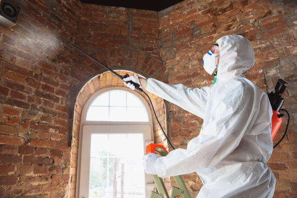 Best Asbestos and Lead Testing During Mold Inspection  in Hamtramck, MI